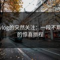 糖心vlog的突然关注：一段不期而遇的惊喜旅程