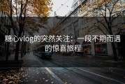 糖心vlog的突然关注：一段不期而遇的惊喜旅程