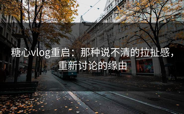 糖心vlog重启:那种说不清的拉扯感,重新讨论的缘由 糖心vlog重启:那种说不清的拉扯感,重新讨论的缘由
