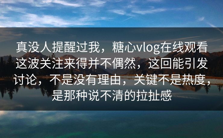 真没人提醒过我，糖心vlog在线观看这波关注来得并不偶然，这回能引发讨论，不是没有理由，关键不是热度，是那种说不清的拉扯感
