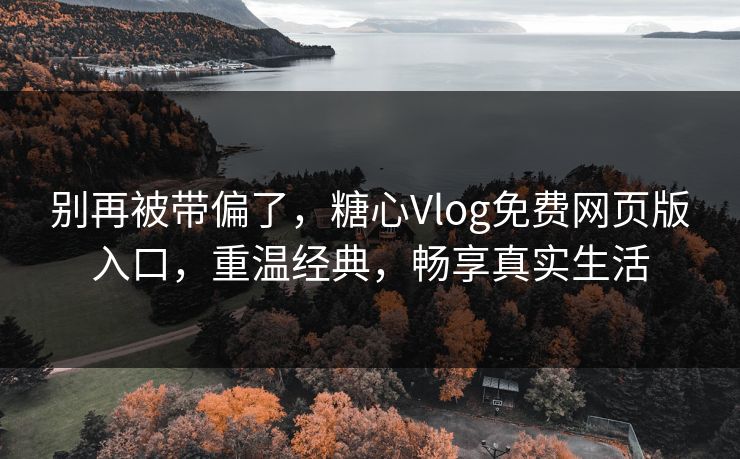 别再被带偏了，糖心Vlog免费网页版入口，重温经典，畅享真实生活