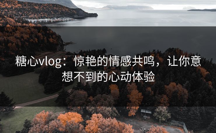 糖心vlog:惊艳的情感共鸣,让你意想不到的心动体验 糖心vlog:惊艳的情感共鸣,让你意想不到的心动体验