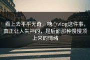 看上去平平无奇，糖心vlog这件事，真正让人失神的，是后面那种慢慢顶上来的情绪