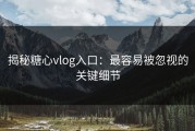 揭秘糖心vlog入口：最容易被忽视的关键细节
