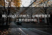 糖心vlog入口的魅力：让情绪慢慢顶上来的奇妙体验