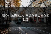 糖心vlog的魔力：从追粉到世界观的巨变