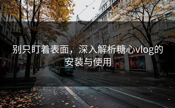 别只盯着表面,深入解析糖心vlog的安装与使用 别只盯着表面,深入解析糖心vlog的安装与使用