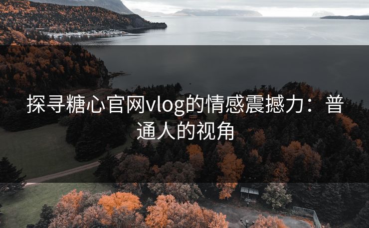 探寻糖心官网vlog的情感震撼力：普通人的视角