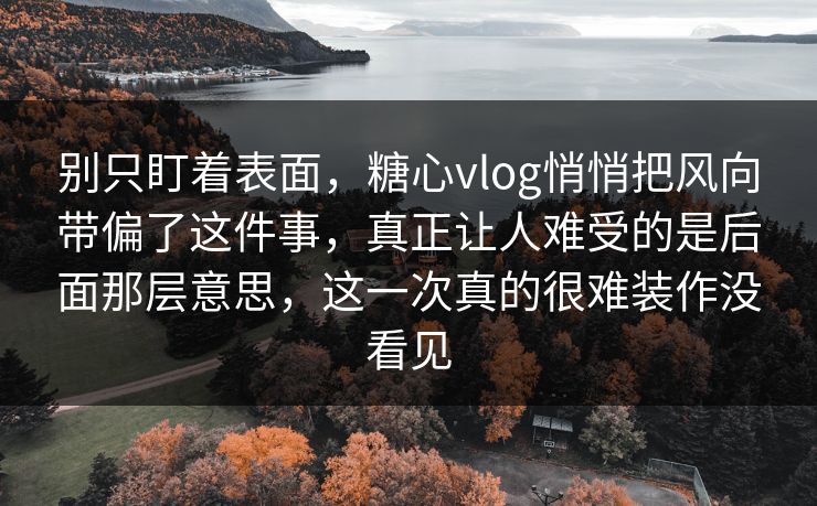 别只盯着表面，糖心vlog悄悄把风向带偏了这件事，真正让人难受的是后面那层意思，这一次真的很难装作没看见