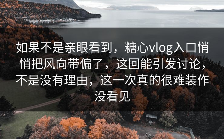 如果不是亲眼看到，糖心vlog入口悄悄把风向带偏了，这回能引发讨论，不是没有理由，这一次真的很难装作没看见
