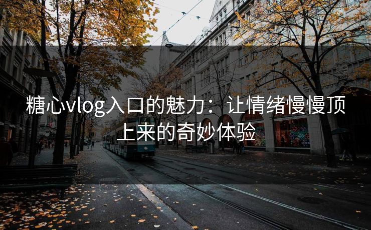 糖心vlog入口的魅力：让情绪慢慢顶上来的奇妙体验